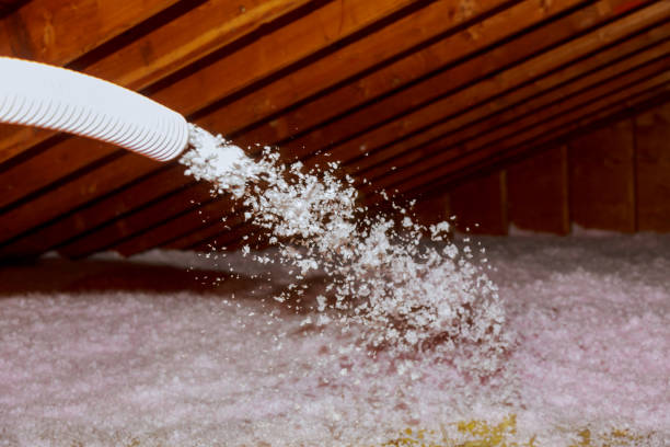 Best Spray Foam Insulation in South Padre Island, TX