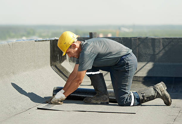 Best Geographic-Specific Insulation Services in South Padre Island, TX