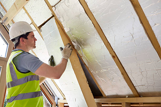 Best Cellulose Insulation in South Padre Island, TX