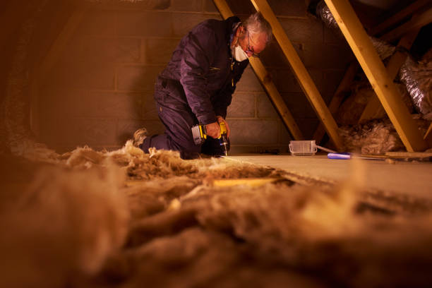Professional Insulation Contractor in South Padre Island, TX